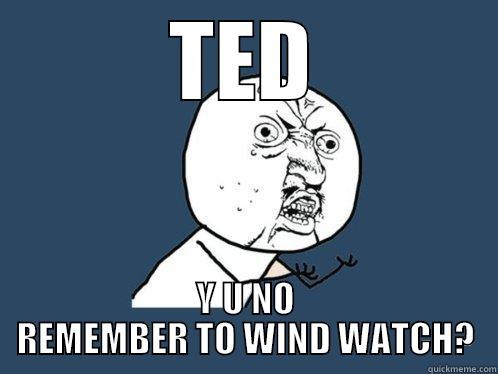 Wind Your Watch - TED Y U NO REMEMBER TO WIND WATCH? Y U No