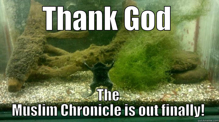 The Praying Toad - THANK GOD THE MUSLIM CHRONICLE IS OUT FINALLY! Misc