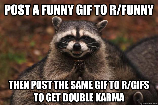 Post a funny gif to r/funny then post the same gif to r/gifs to get double karma  Evil Plotting Raccoon