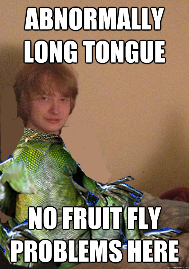 abnormally long tongue no fruit fly problems here  