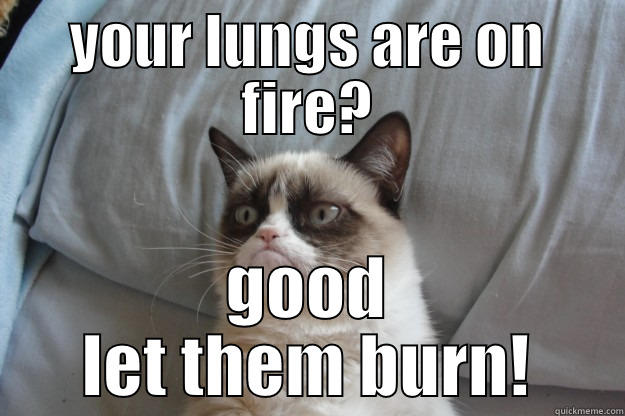 YOUR LUNGS ARE ON FIRE? GOOD LET THEM BURN! Grumpy Cat