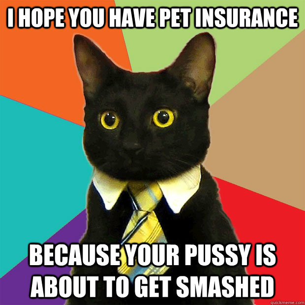 I HOPE YOU HAVE PET INSURANCE BECAUSE YOUR PUSSY IS ABOUT TO GET SMASHED  Business Cat