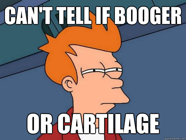 CAN'T TELL IF BOOGER OR CARTILAGE  Futurama Fry