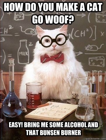 How do you make a cat go woof? Easy! Bring me some alcohol and that bunsen burner - How do you make a cat go woof? Easy! Bring me some alcohol and that bunsen burner  Chemistry Cat