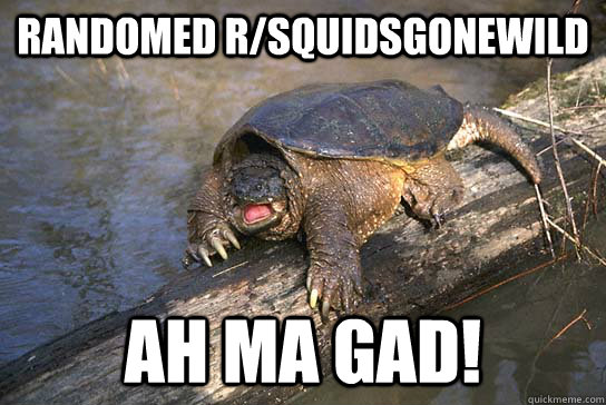 randomed r/squidsgonewild AH MA GAD! - randomed r/squidsgonewild AH MA GAD!  Shocked Snapper