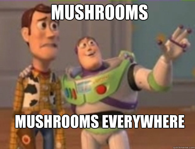 Mushrooms  Mushrooms Everywhere  - Mushrooms  Mushrooms Everywhere   Misc