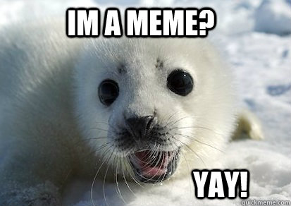 Im a Meme? YAY! - Im a Meme? YAY!  Misc