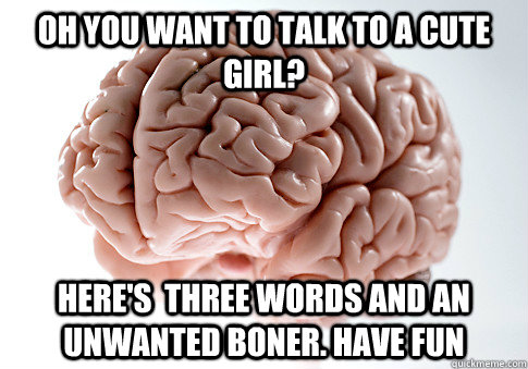 oh you want to talk to a cute girl? here's  three words and an unwanted boner. have fun  Scumbag Brain