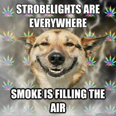 Strobelights are
everywhere Smoke is filling the air  Stoner Dog