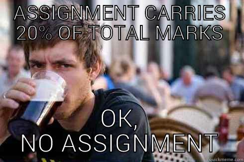 ASSIGNMENT CARRIES 20% OF TOTAL MARKS OK, NO ASSIGNMENT Lazy College Senior