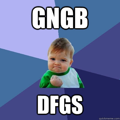 gngb dfgs  Success Kid