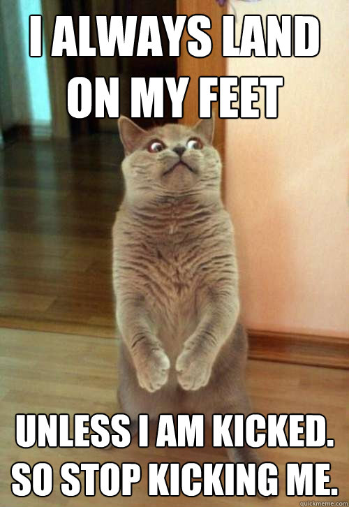 I always land on my feet unless i am kicked. so stop kicking me.  Horrorcat