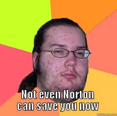  NOT EVEN NORTON CAN SAVE YOU NOW Butthurt Dweller