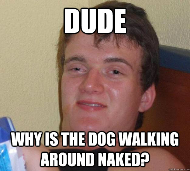 dude why is the dog walking around naked?  10 Guy