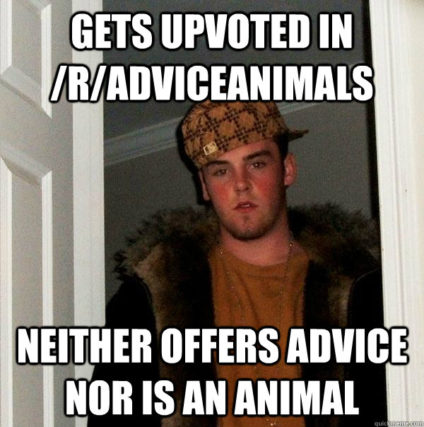 gets upvoted in /r/adviceanimals neither offers advice nor is an animal  Scumbag Steve