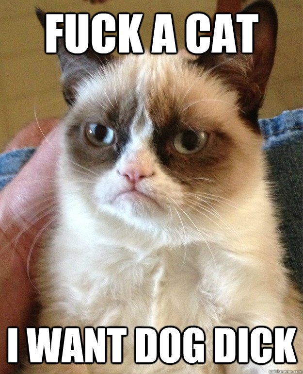 fuck a cat i want dog dick  Grumpy Cat