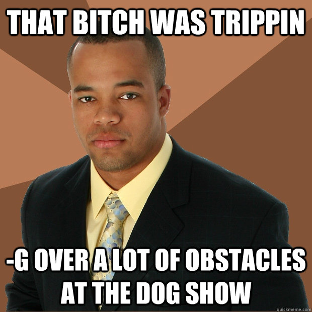 that bitch was trippin -g over a lot of obstacles at the dog show  Successful Black Man