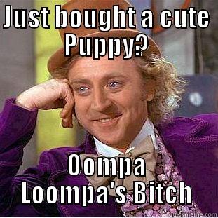 I Win - JUST BOUGHT A CUTE PUPPY? OOMPA LOOMPA'S BITCH Condescending Wonka