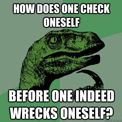 How does one check oneself before one indeed wrecks oneself?  Philosoraptor