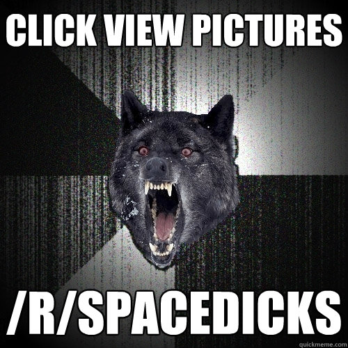 CLICK VIEW PICTURES /R/SPACEDICKS  Insanity Wolf