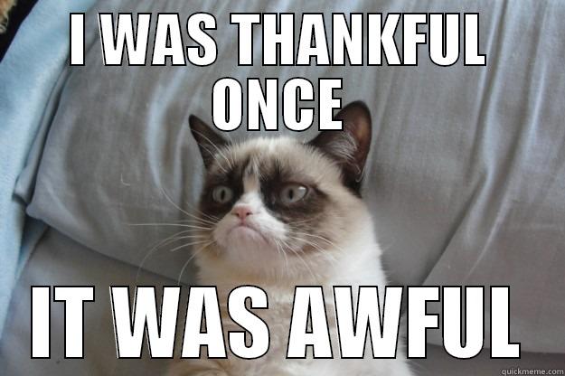 I WAS THANKFUL ONCE IT WAS AWFUL Grumpy Cat