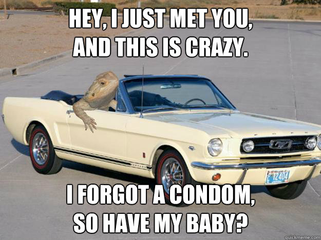 Hey, I just met you, 
and this is crazy.  I forgot a condom, 
so have my baby?
  Pickup Dragon