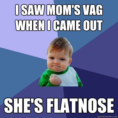 I saw mom's vag when I came out SHE'S FLATNOSE - I saw mom's vag when I came out SHE'S FLATNOSE  Success Kid