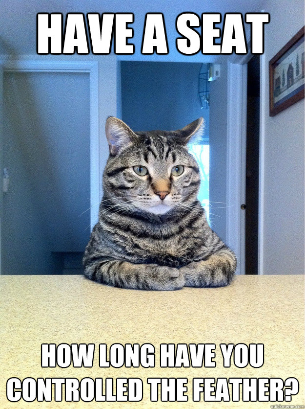 Have a seat how long have you controlled the feather?  Chris Hansen Cat