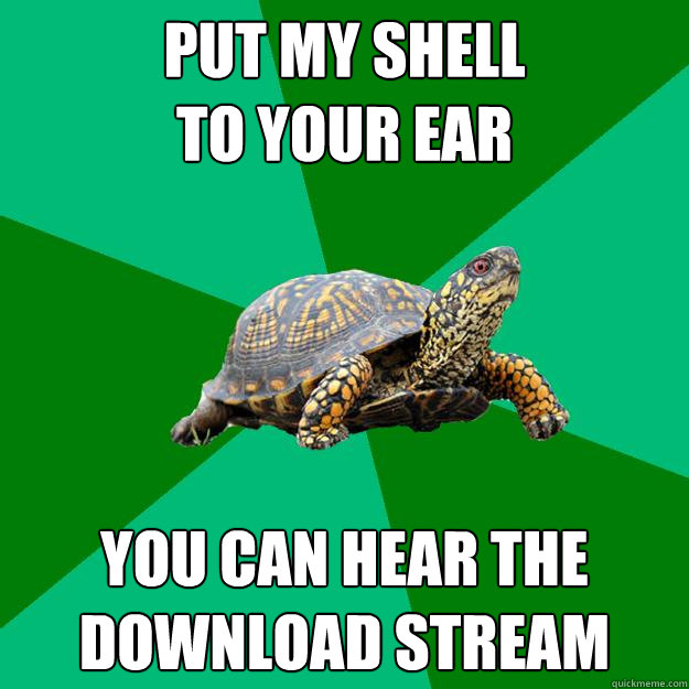 put my shell 
to your ear you can hear the download stream  Torrenting Turtle