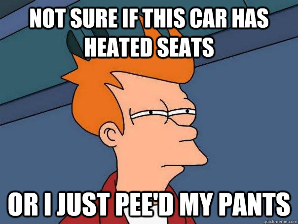 Not sure if this car has heated seats or i just pee'd my pants  Futurama Fry