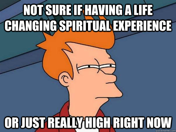 not sure if having a life changing spiritual experience or just really high right now - not sure if having a life changing spiritual experience or just really high right now  Futurama Fry