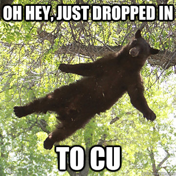 Oh hey, just dropped in to CU  Boulder Bear