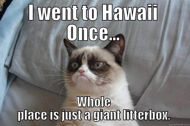 I WENT TO HAWAII ONCE... WHOLE PLACE IS JUST A GIANT LITTERBOX. Grumpy Cat