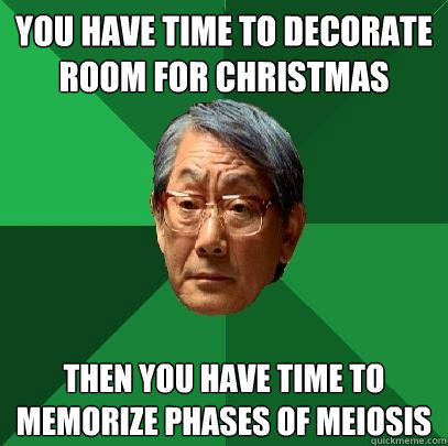 you have time to decorate room for christmas then you have time to memorize phases of meiosis - you have time to decorate room for christmas then you have time to memorize phases of meiosis  High Expectations Asian Father