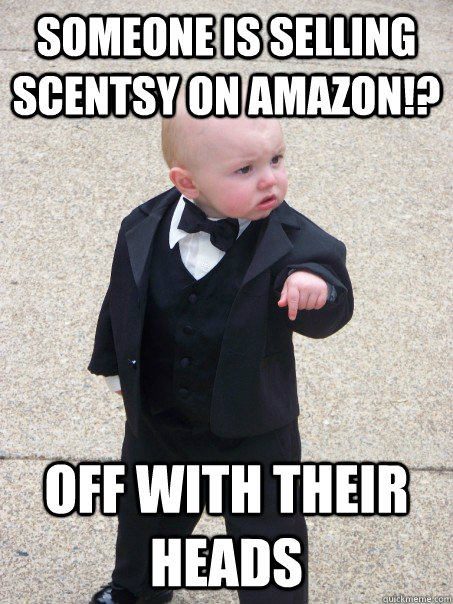 SOMEONE IS SELLING SCENTSY ON AMAZON!? OFF WITH THEIR HEADS  Baby Godfather