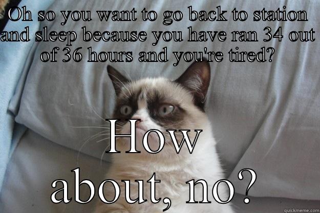 OH SO YOU WANT TO GO BACK TO STATION AND SLEEP BECAUSE YOU HAVE RAN 34 OUT OF 36 HOURS AND YOU'RE TIRED? HOW ABOUT, NO? Grumpy Cat