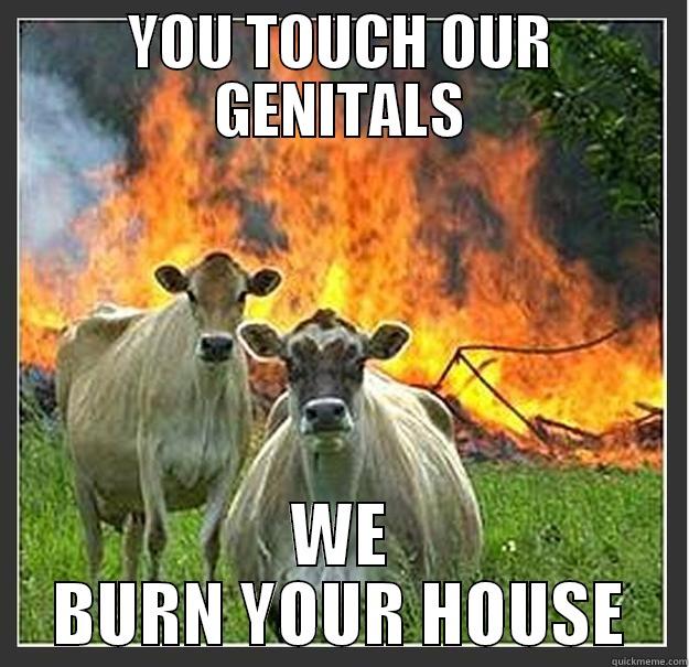 YOU TOUCH OUR GENITALS WE BURN YOUR HOUSE Evil cows