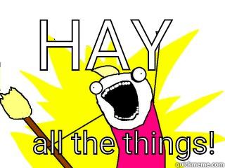 HAY     ALL THE THINGS! All The Things