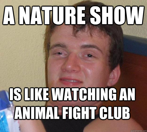 a nature show is like watching an animal fight club - a nature show is like watching an animal fight club  10 Guy