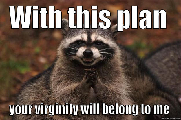 WITH THIS PLAN YOUR VIRGINITY WILL BELONG TO ME Evil Plotting Raccoon