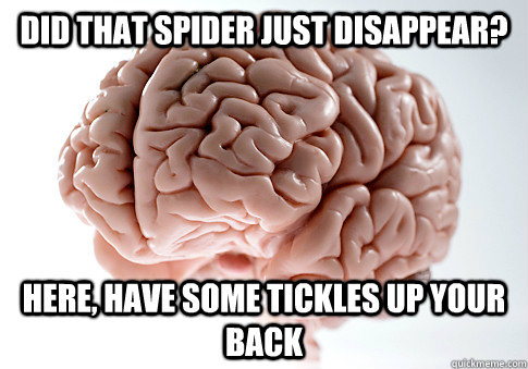 DID THAT SPIDER JUST DISAPPEAR? HERE, HAVE SOME TICKLES UP YOUR BACK  - DID THAT SPIDER JUST DISAPPEAR? HERE, HAVE SOME TICKLES UP YOUR BACK   Scumbag Brain