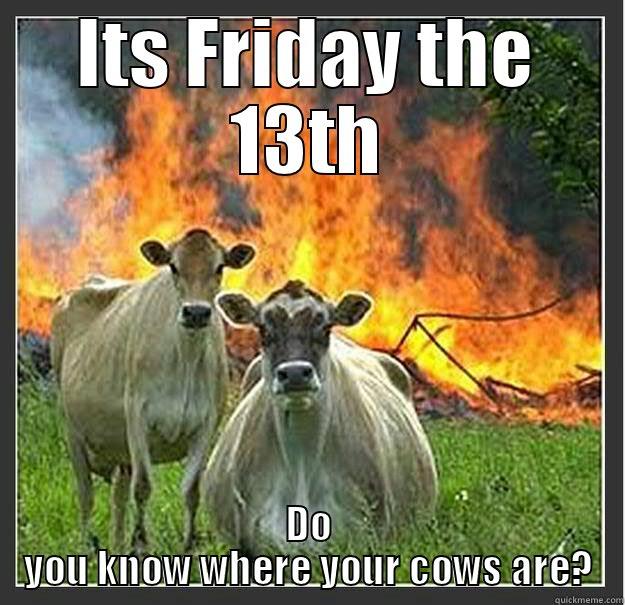 Friday the 13th is coming - ITS FRIDAY THE 13TH DO YOU KNOW WHERE YOUR COWS ARE? Evil cows