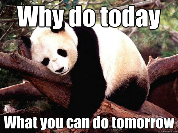 Why do today What you can do tomorrow  Procrastination Panda