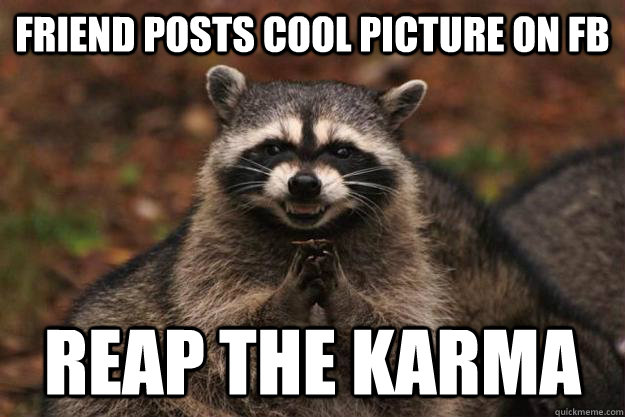 Friend posts cool picture on fb Reap the karma - Friend posts cool picture on fb Reap the karma  Evil Plotting Raccoon