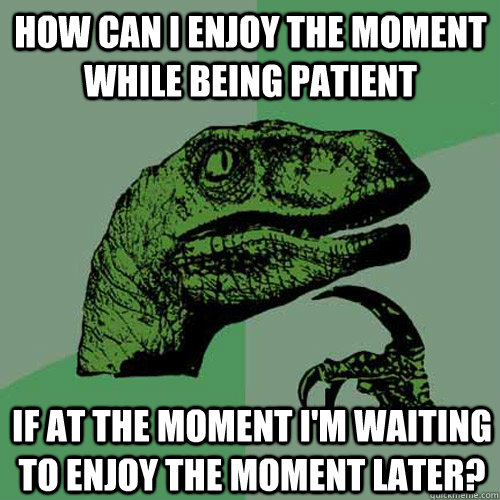 How can I enjoy the moment while being patient If at the moment I'm waiting to enjoy the moment later? - How can I enjoy the moment while being patient If at the moment I'm waiting to enjoy the moment later?  Philosoraptor