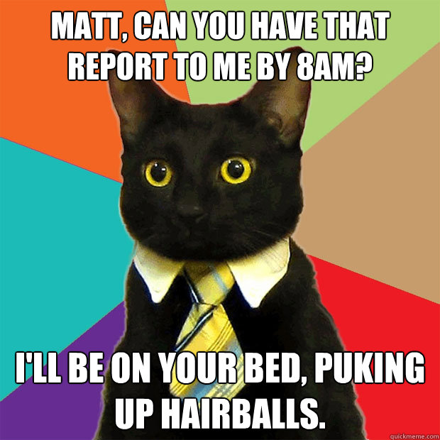 Matt, Can you have that report to me by 8AM? I'll be on your bed, puking up hairballs.  Business Cat