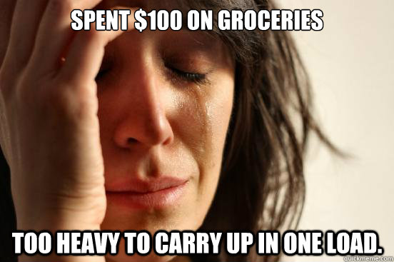 Spent $100 on groceries Too heavy to carry up in one load.  First World Problems