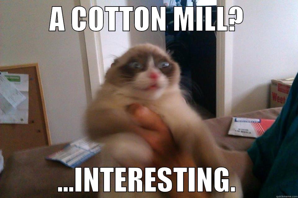 A COTTON MILL? ...INTERESTING. Misc