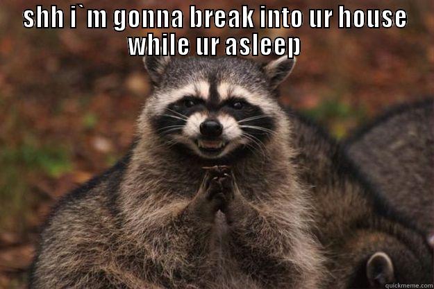 SHH I`M GONNA BREAK INTO UR HOUSE WHILE UR ASLEEP  Evil Plotting Raccoon