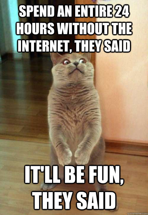 Spend an entire 24 hours without the internet, they said It'll be fun, they said  Horrorcat